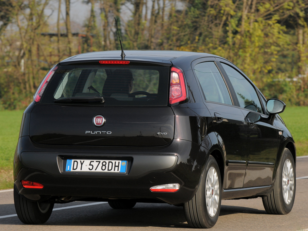 Fiat Punto фото 101703