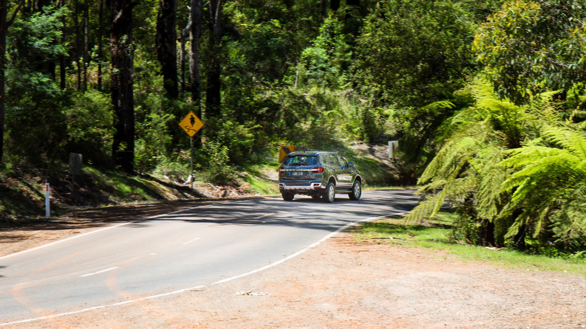 Ford Everest фото 178175