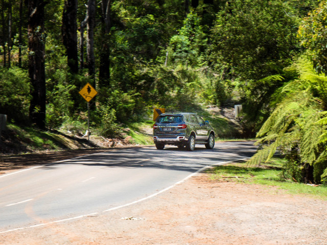 Ford Everest фото