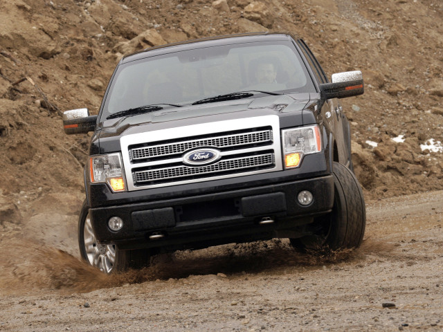 Ford F-150 Platinum фото