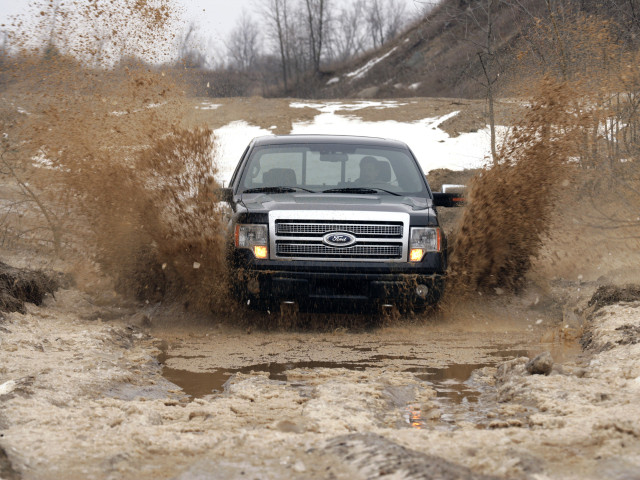 Ford F-150 Platinum фото