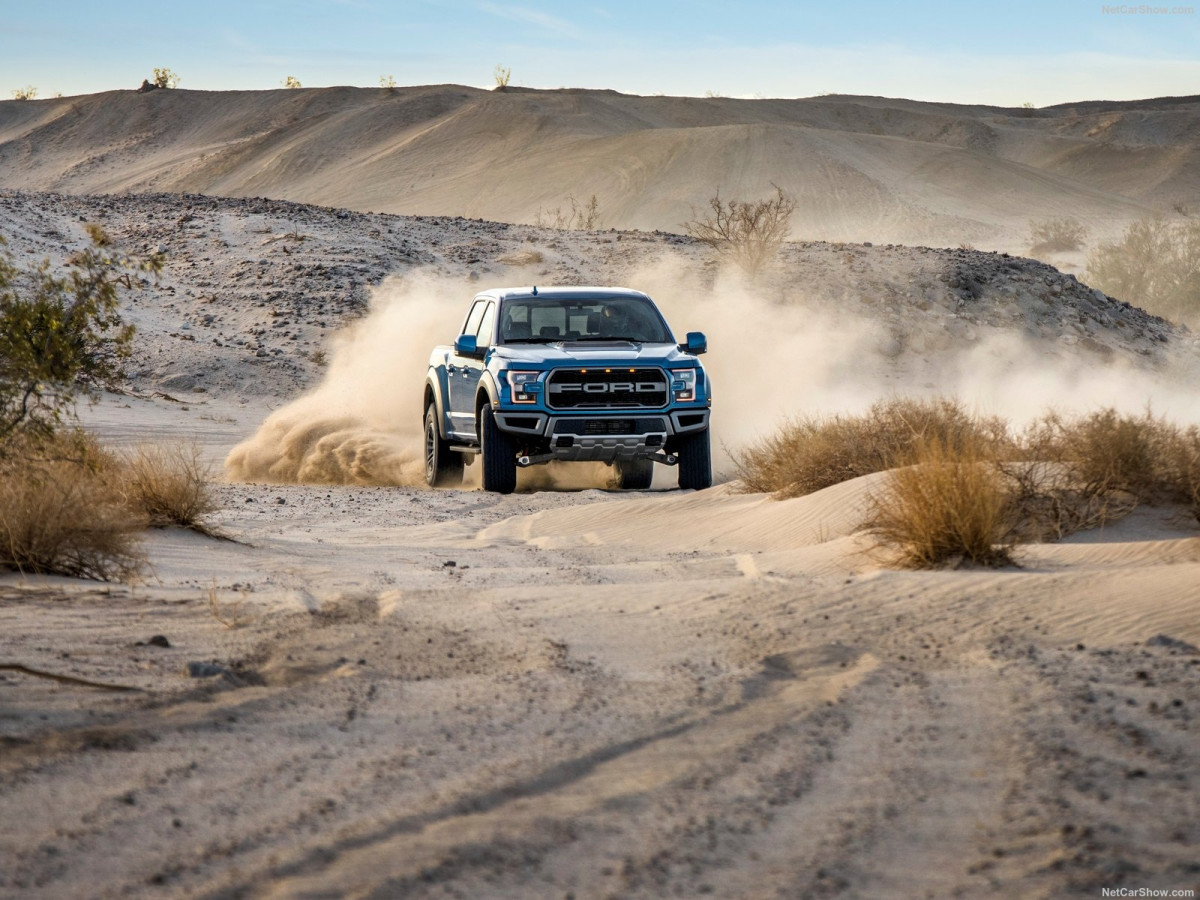 Ford F-150 RAPTOR фото 195232