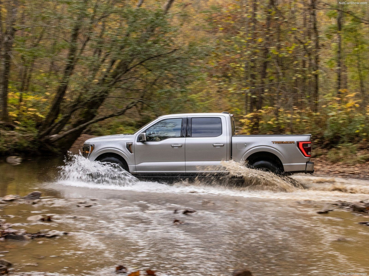 Ford F-150 Tremor фото 205700