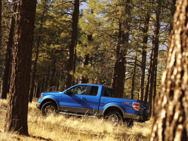 Ford F-150 фото