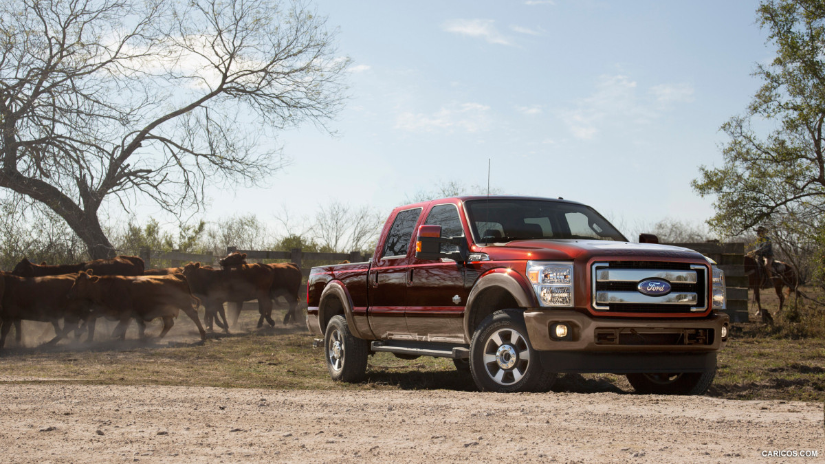 Ford F-Series Super Duty фото 130573