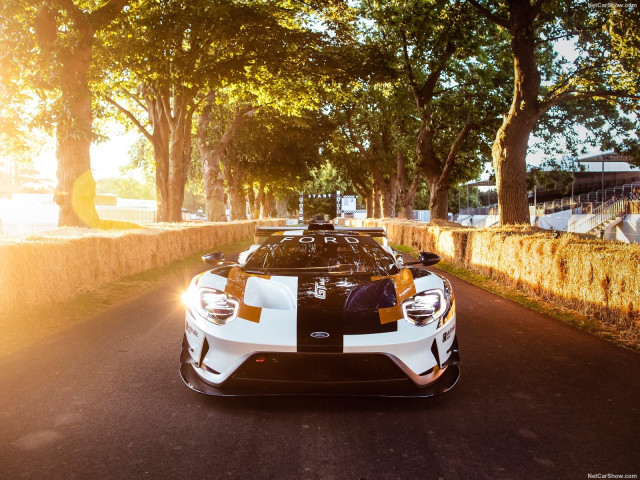 Ford GT фото