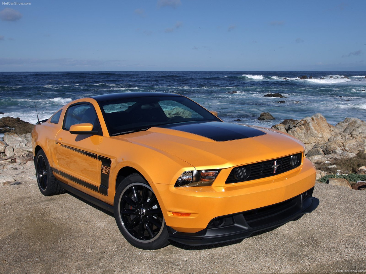 Ford Mustang Boss 302 фото 81976