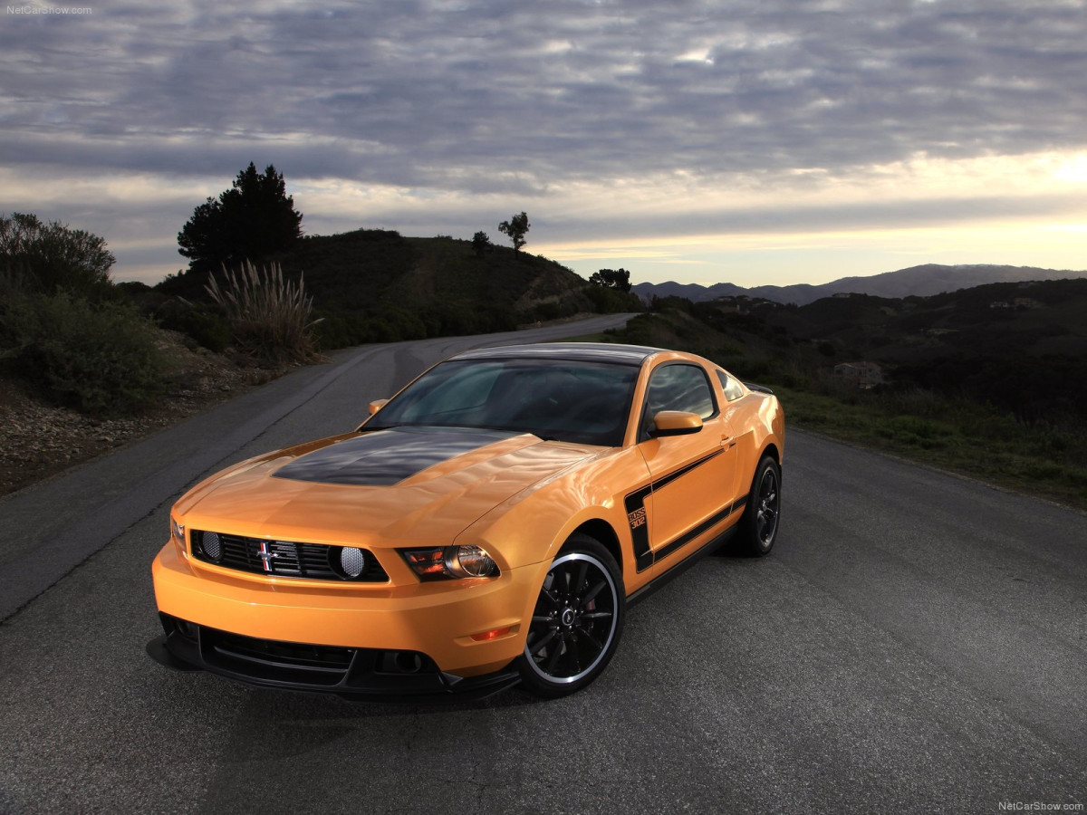 Ford Mustang Boss 302 фото 81979