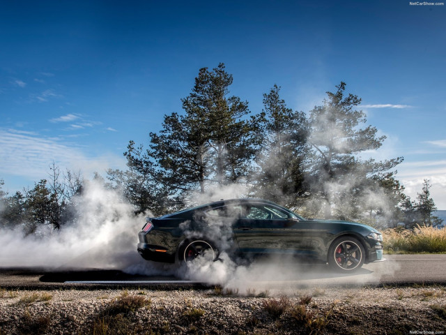 Ford Mustang Bullitt фото