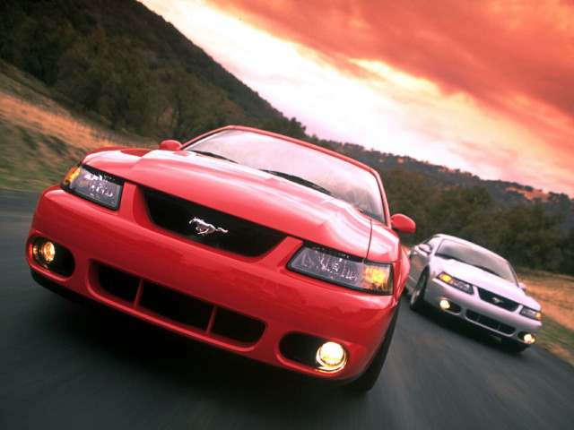 Ford Mustang Cobra фото