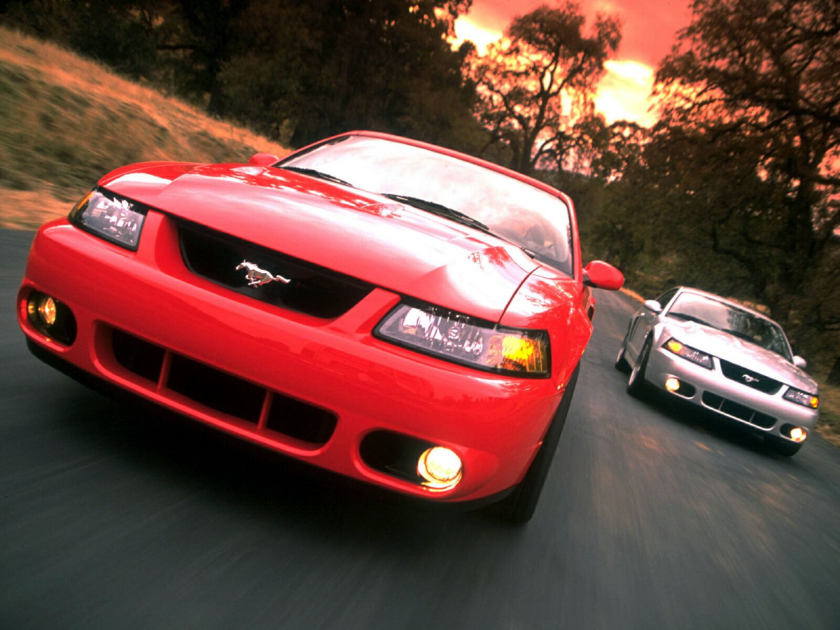 Ford Mustang Cobra фото 10611