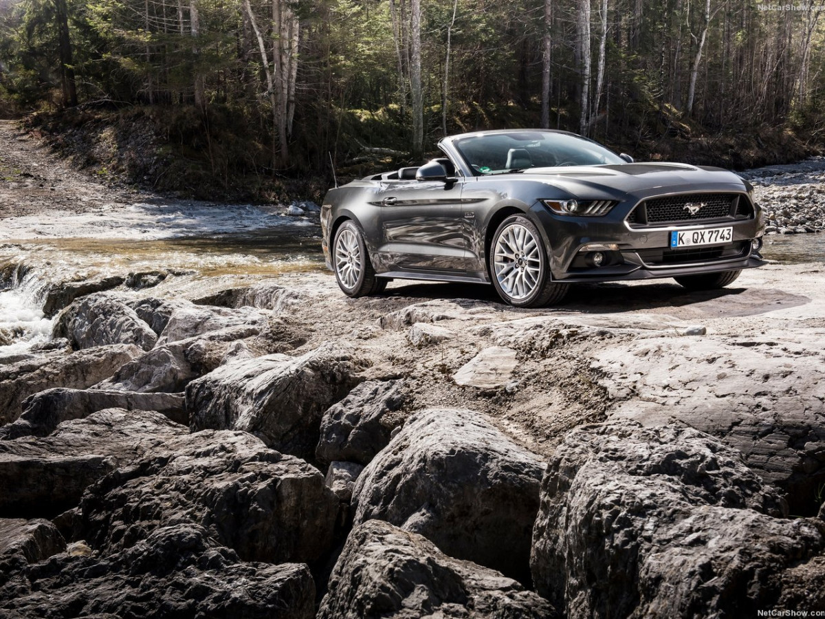 Ford Mustang Convertible EU-Version фото 147738