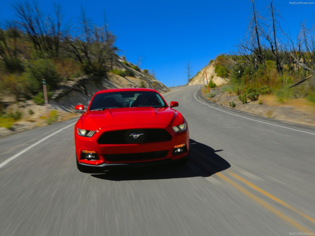 Ford Mustang EcoBoost фото