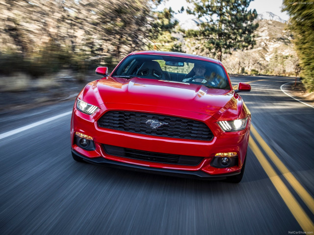 Ford Mustang EcoBoost фото