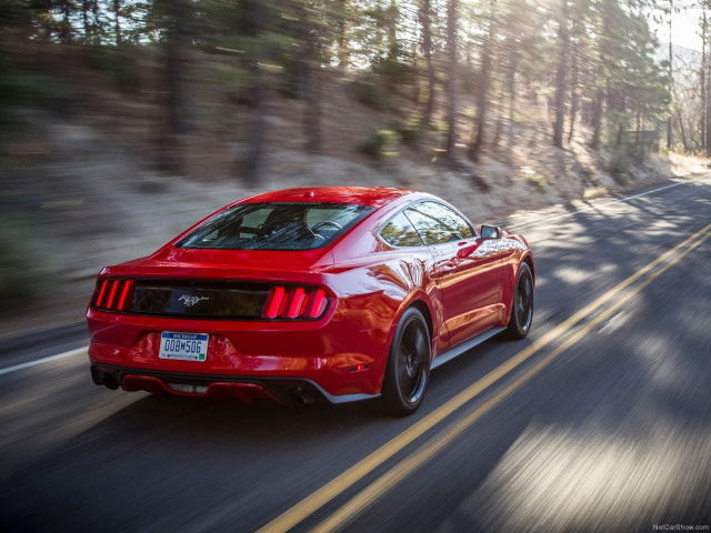 Ford Mustang EcoBoost фото