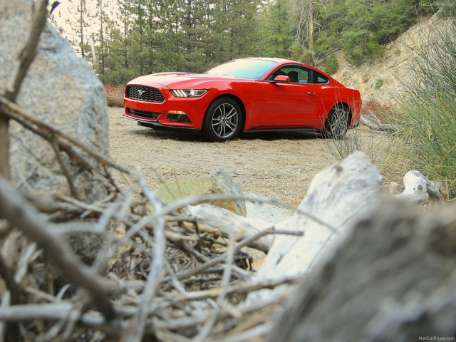 Ford Mustang EcoBoost фото