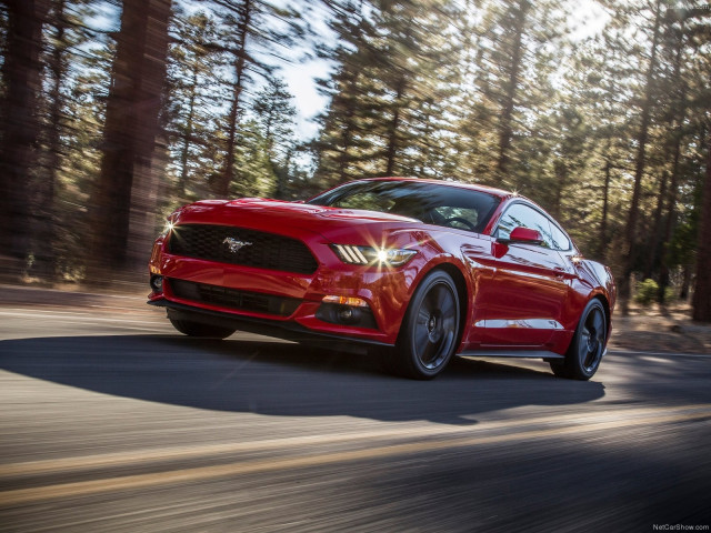 Ford Mustang EcoBoost фото