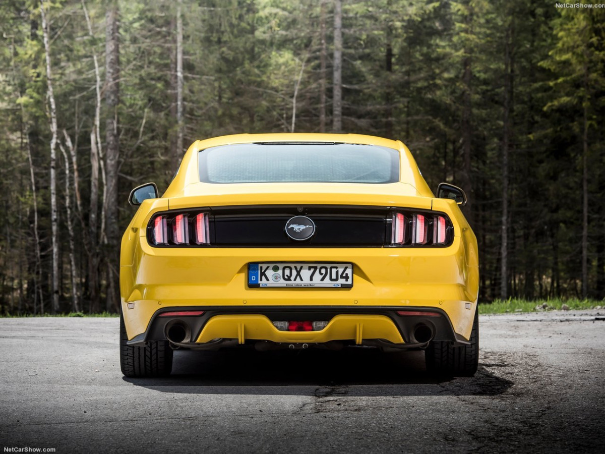 Ford Mustang EU-Version фото 147682