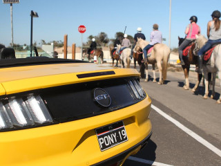 Ford Mustang GT Convertible фото