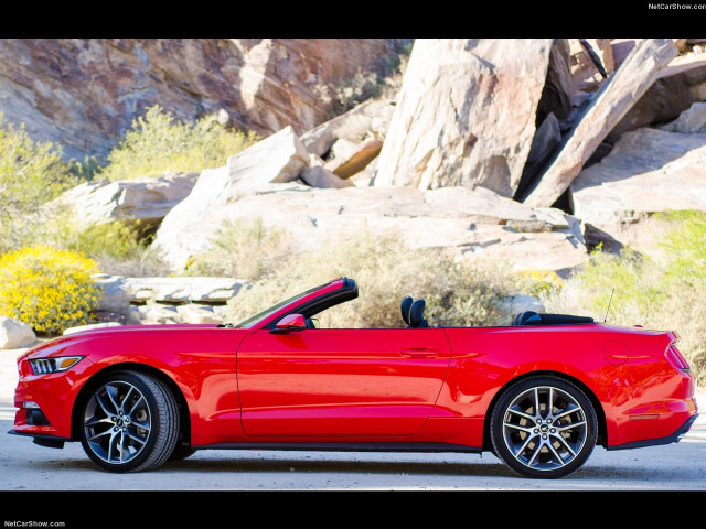 Ford Mustang Convertible фото