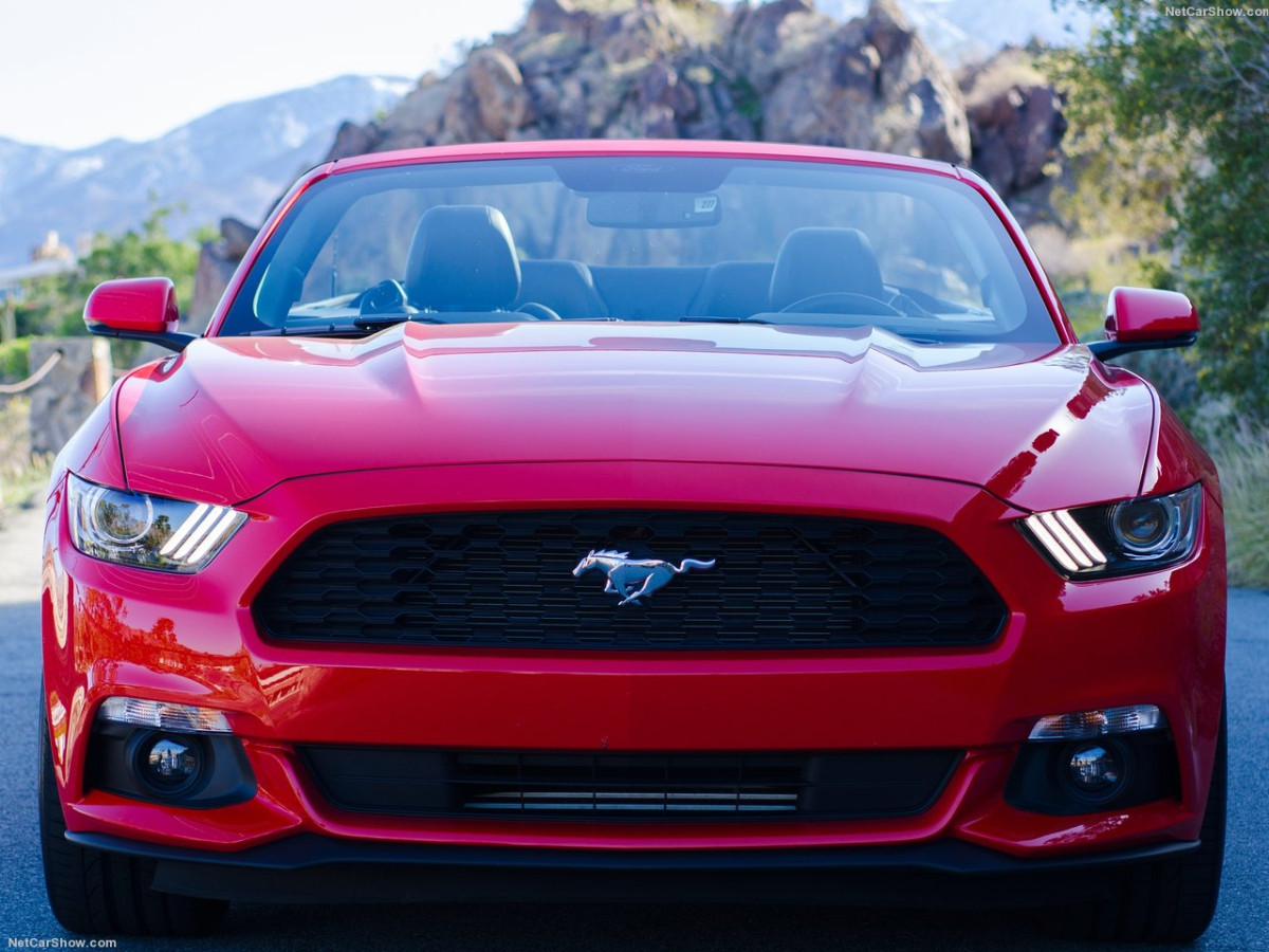 Ford Mustang Convertible фото 143424