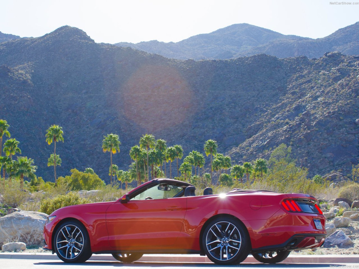 Ford Mustang Convertible фото 143432