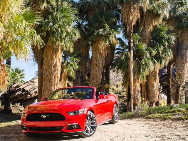 Ford Mustang Convertible фото