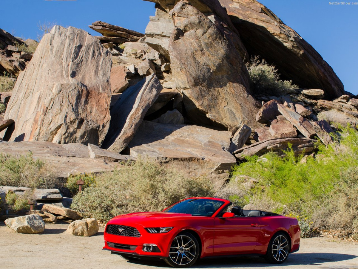 Ford Mustang Convertible фото 143449