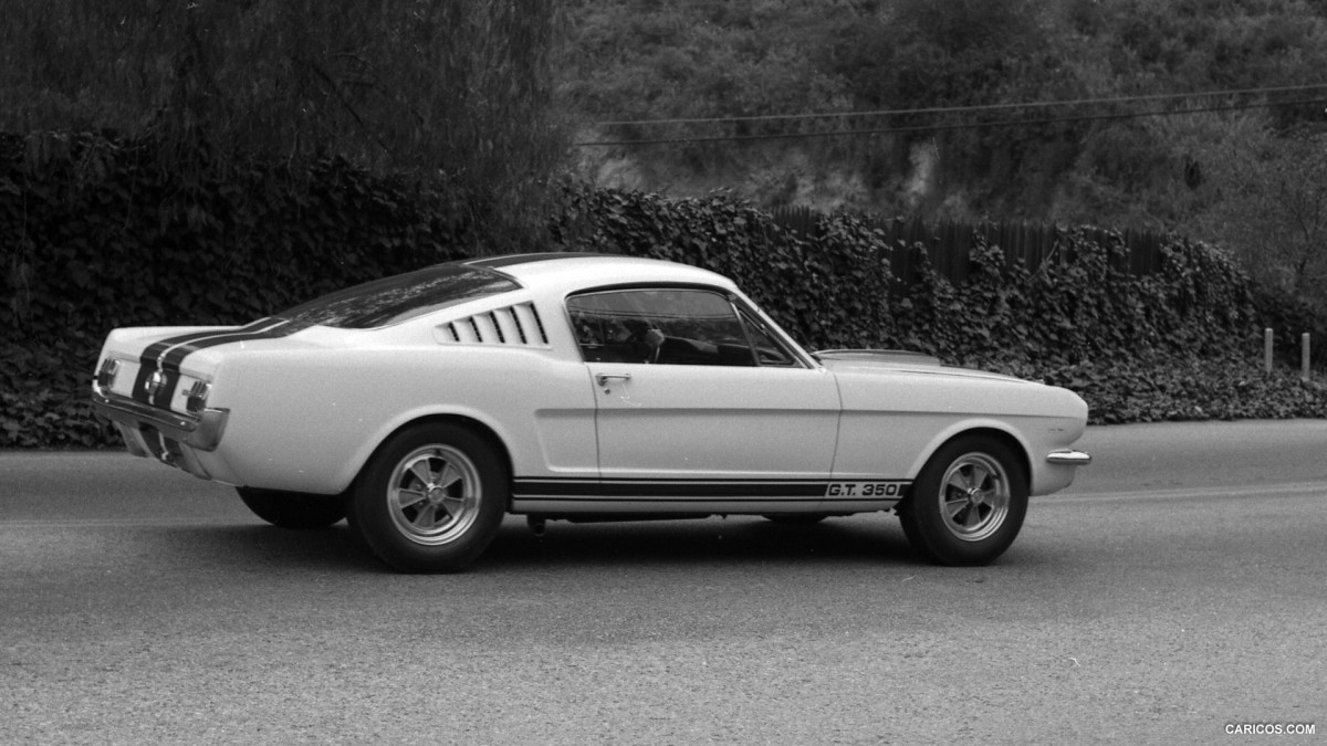 Ford Mustang Shelby GT350 фото 126848