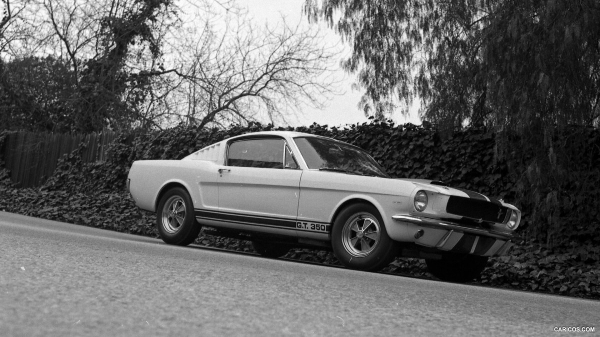 Ford Mustang Shelby GT350 фото 126849