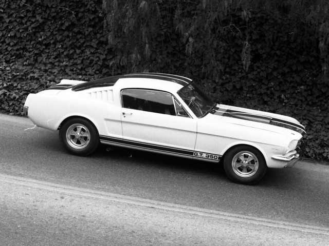 Ford Mustang Shelby GT350 фото