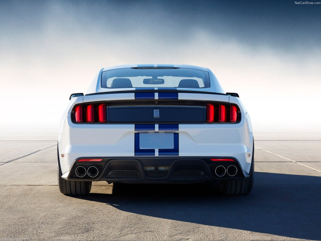 Ford Mustang Shelby GT350 фото