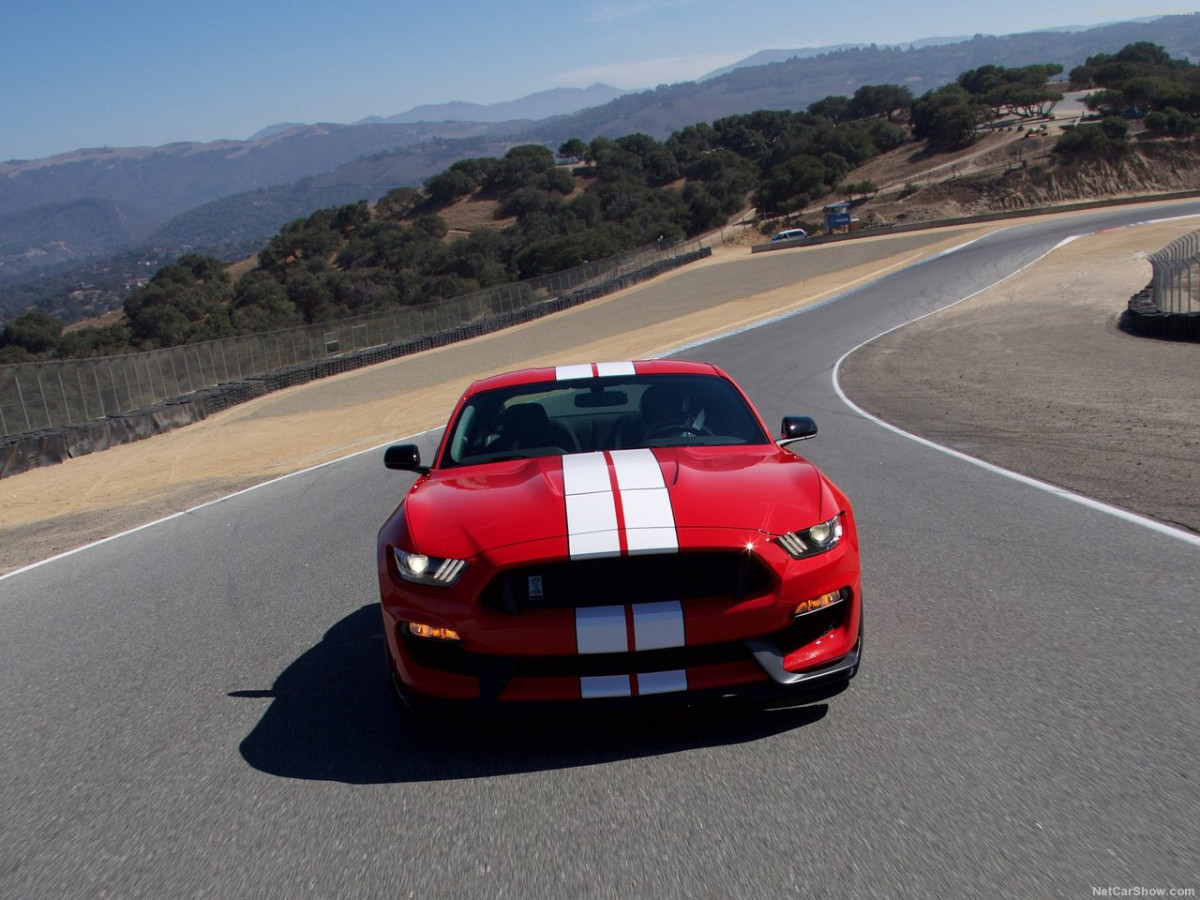 Ford Mustang Shelby GT350 фото 156017