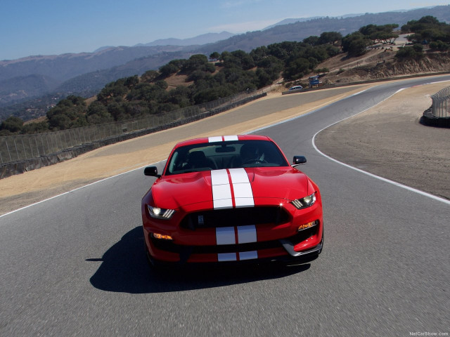 Ford Mustang Shelby GT350 фото