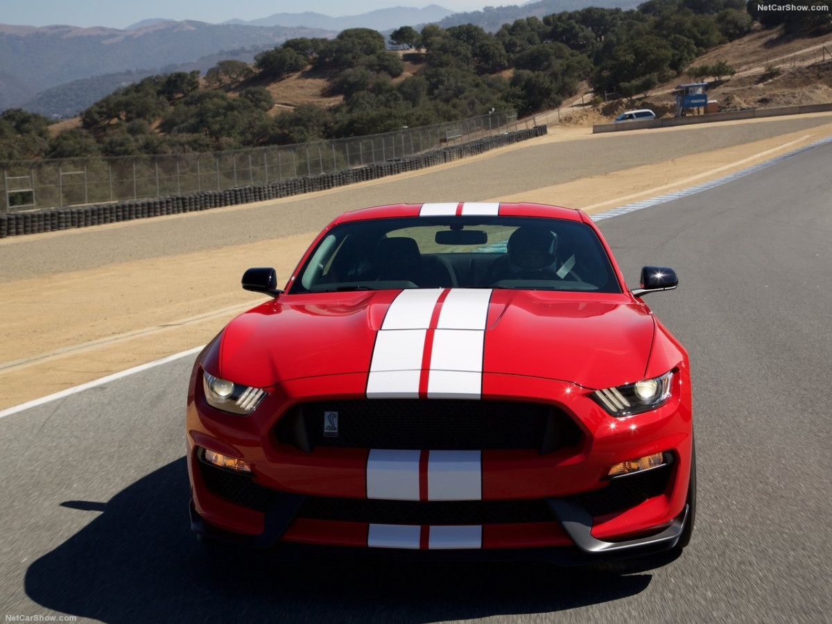 Ford Mustang Shelby GT350 фото 156018