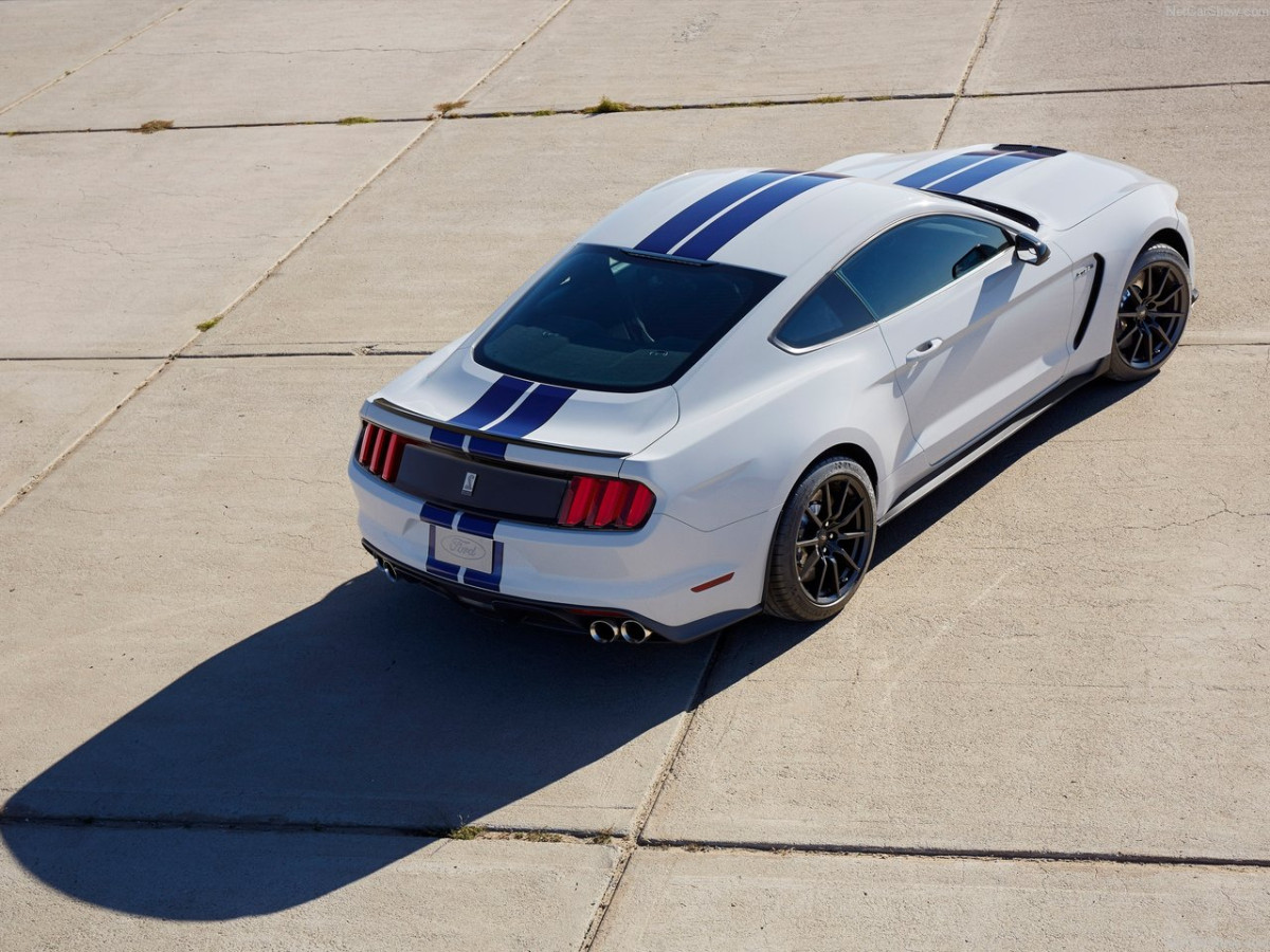 Ford Mustang Shelby GT350 фото 156023