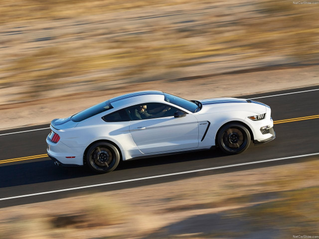 Ford Mustang Shelby GT350 фото