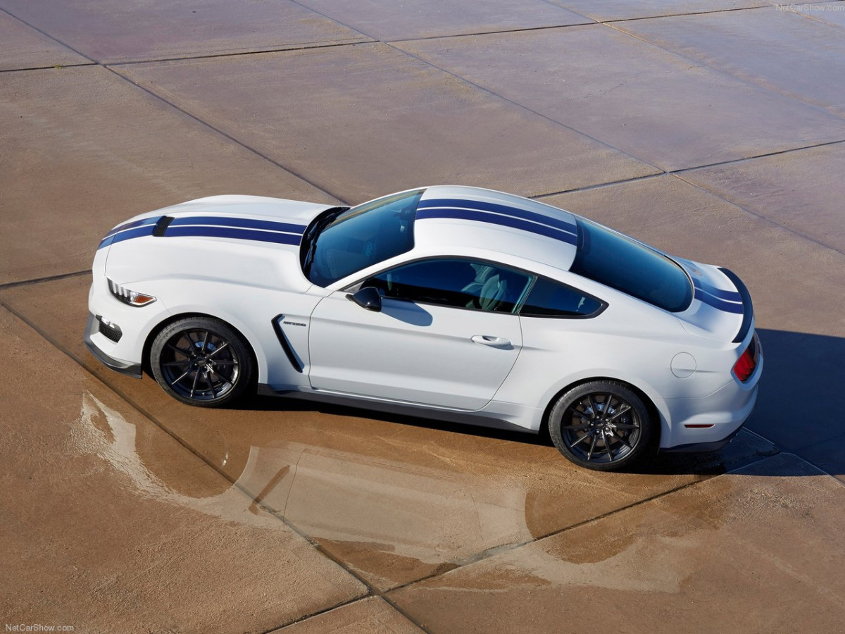 Ford Mustang Shelby GT350 фото 156026