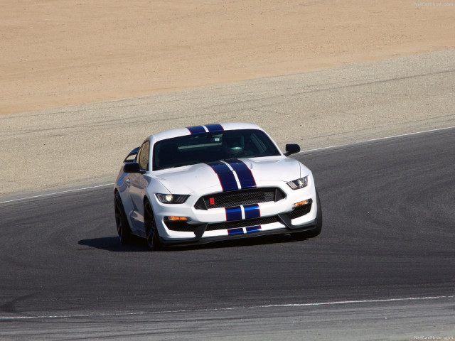 Ford Mustang Shelby GT350 фото