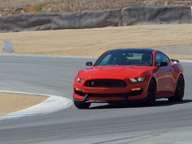 Ford Mustang Shelby GT350 фото