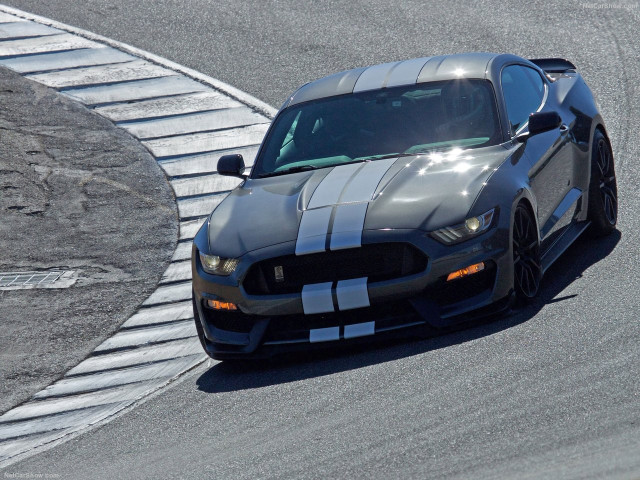 Ford Mustang Shelby GT350 фото