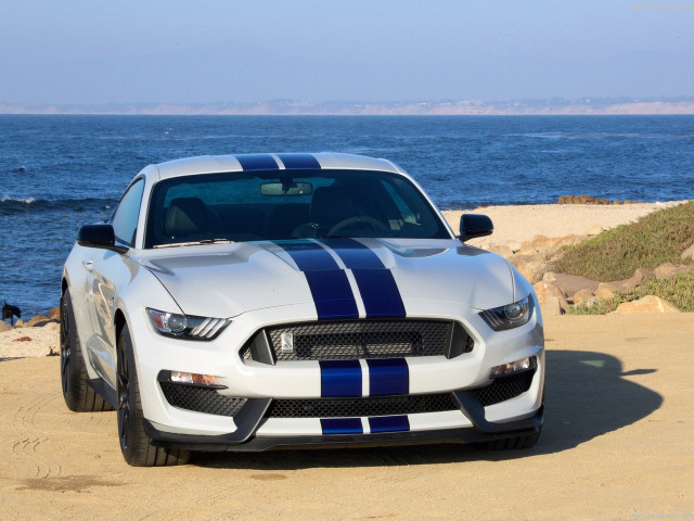 Ford Mustang Shelby GT350 фото