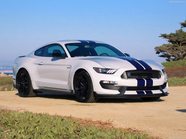 Ford Mustang Shelby GT350 фото