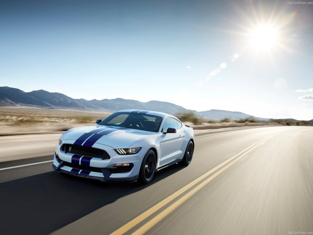 Ford Mustang Shelby GT350 фото