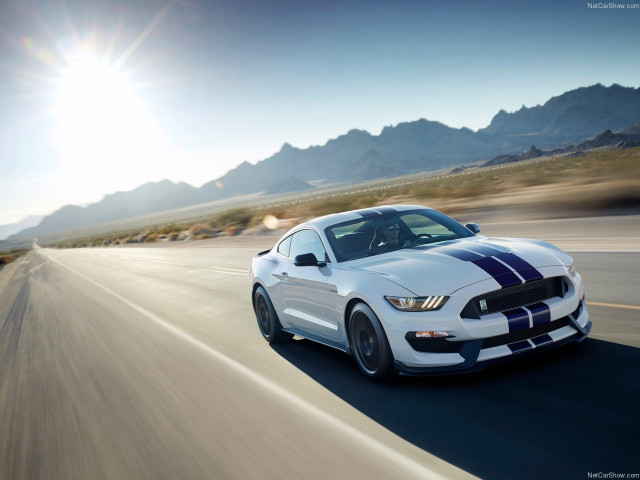 Ford Mustang Shelby GT350 фото