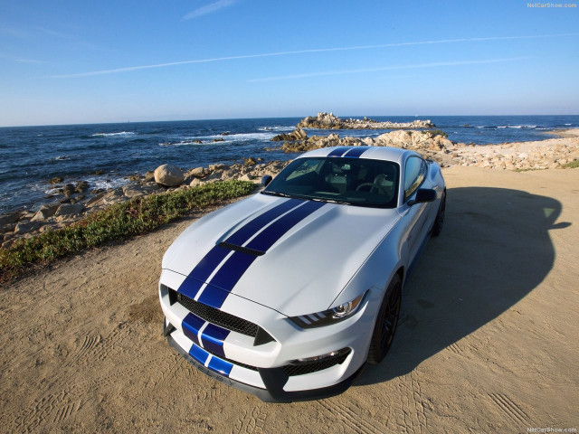 Ford Mustang Shelby GT350 фото