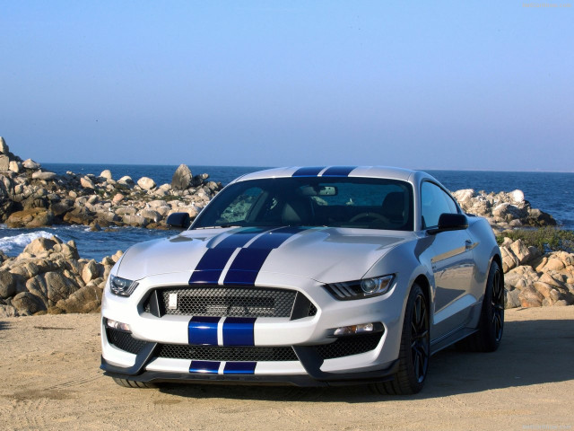 Ford Mustang Shelby GT350 фото