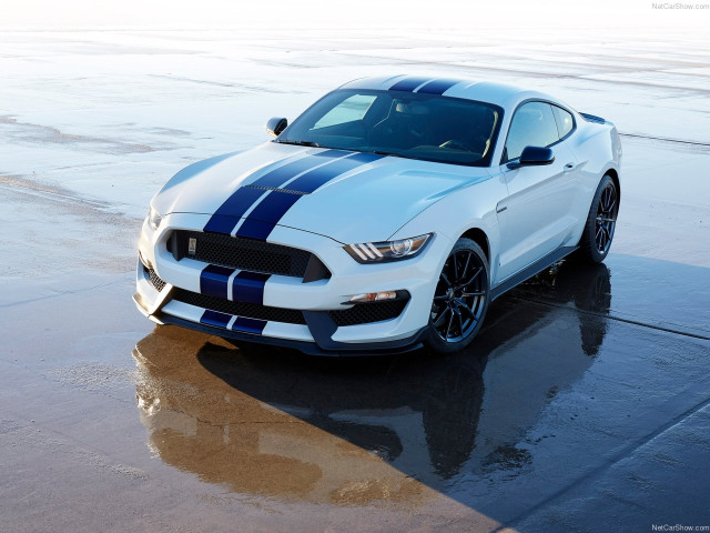 Ford Mustang Shelby GT350 фото