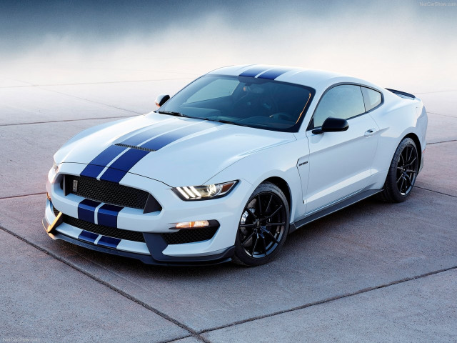 Ford Mustang Shelby GT350 фото