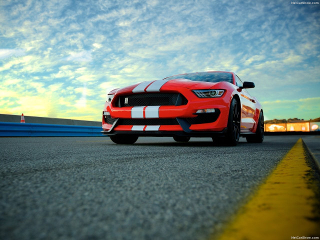 Ford Mustang Shelby GT350 фото